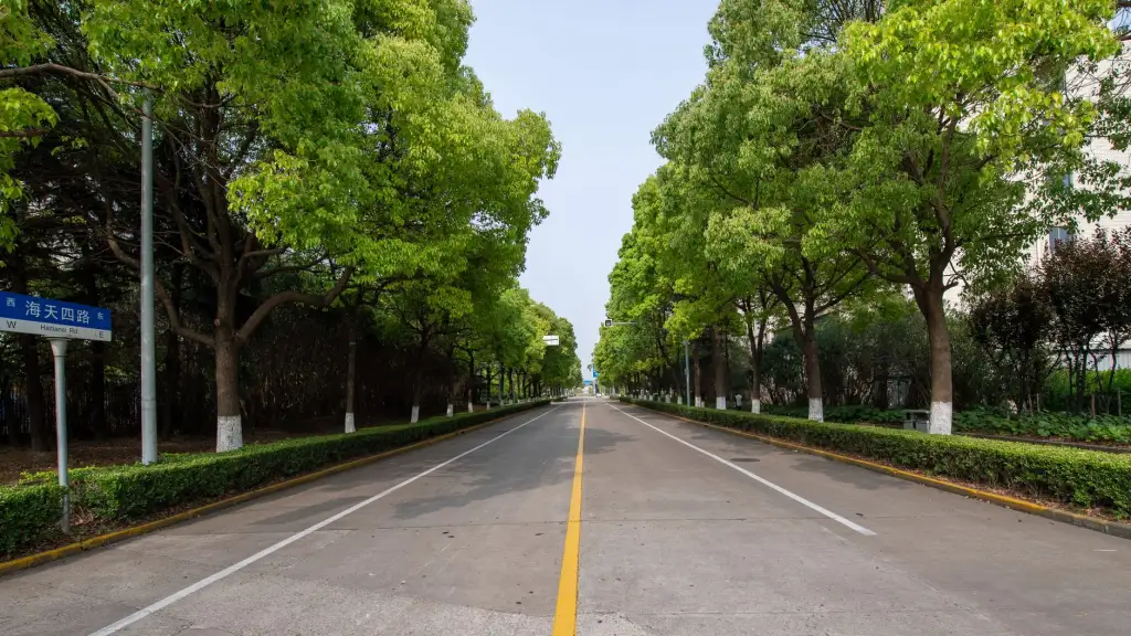 小程序与原生APP开发方案对比：中小企业选型指南