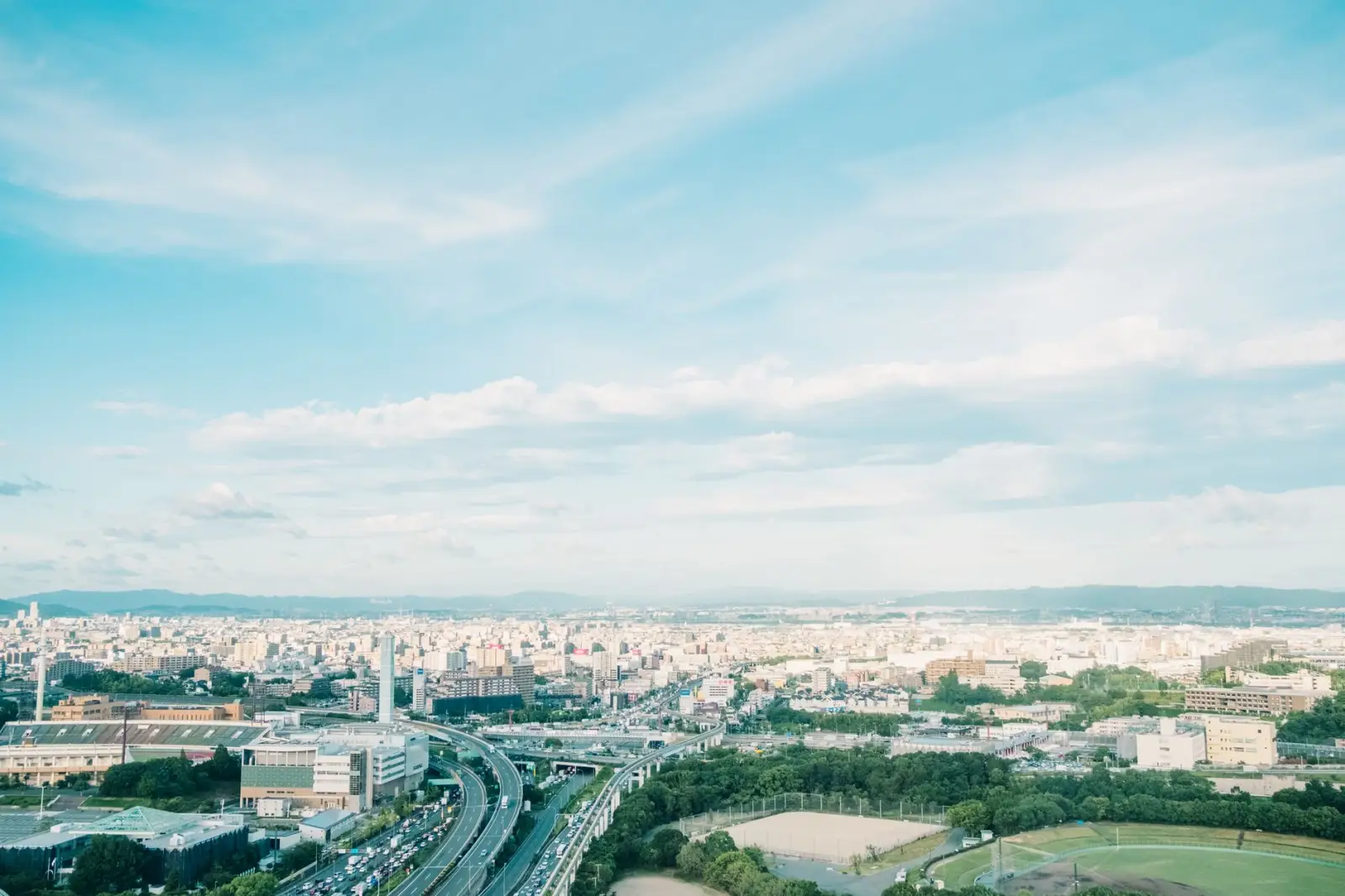 东方双新文科技解析：海南企业APP开发中的技术架构选型要点