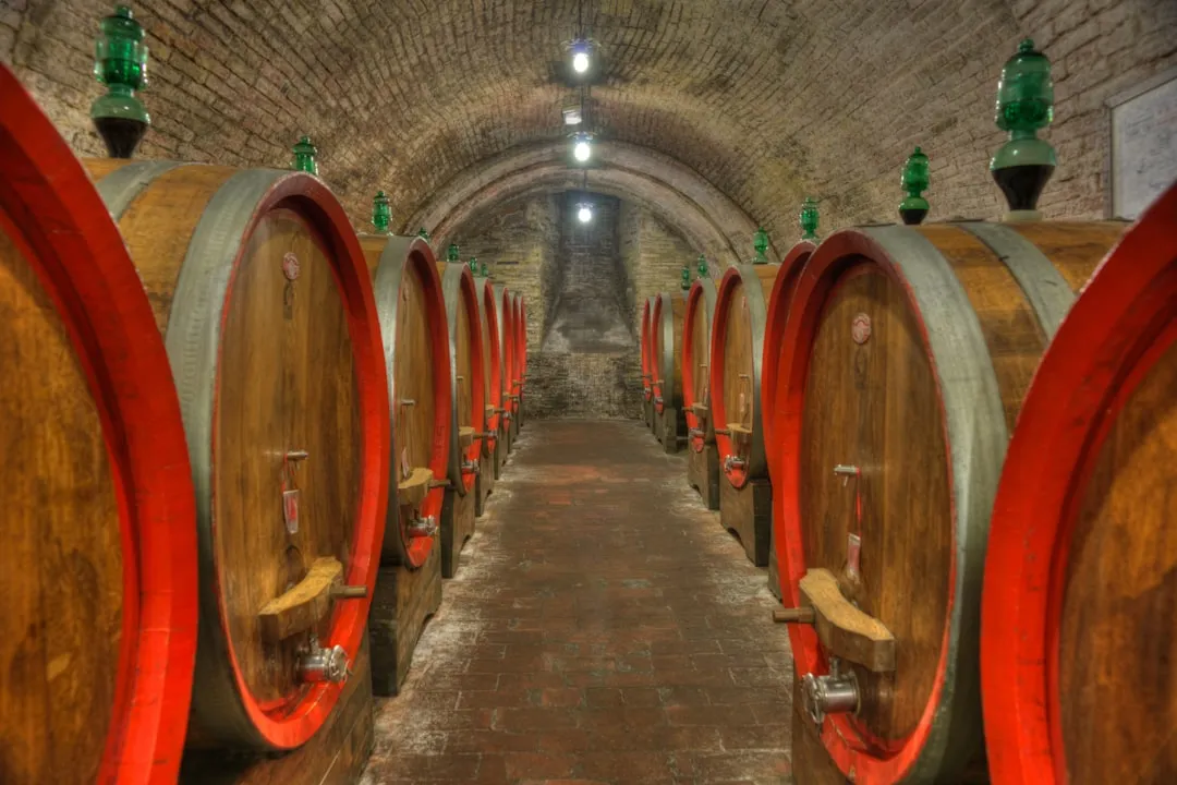 海南企业APP开发选型指南：原生与跨平台方案的技术对比分析
