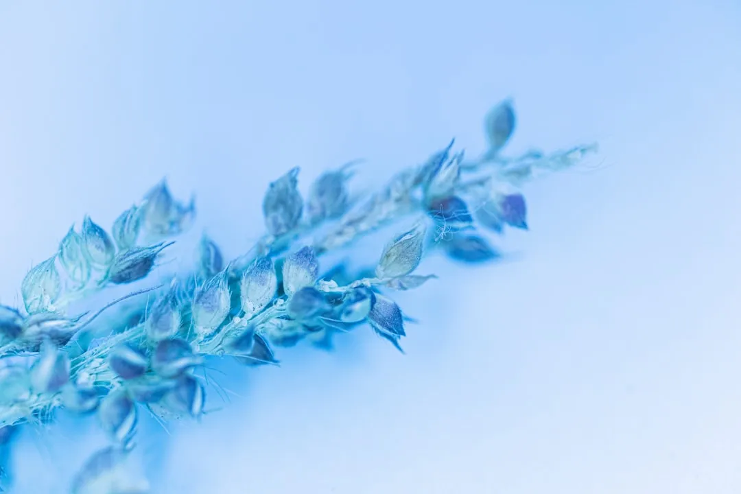 海南企业移动应用定制开发服务流程详解