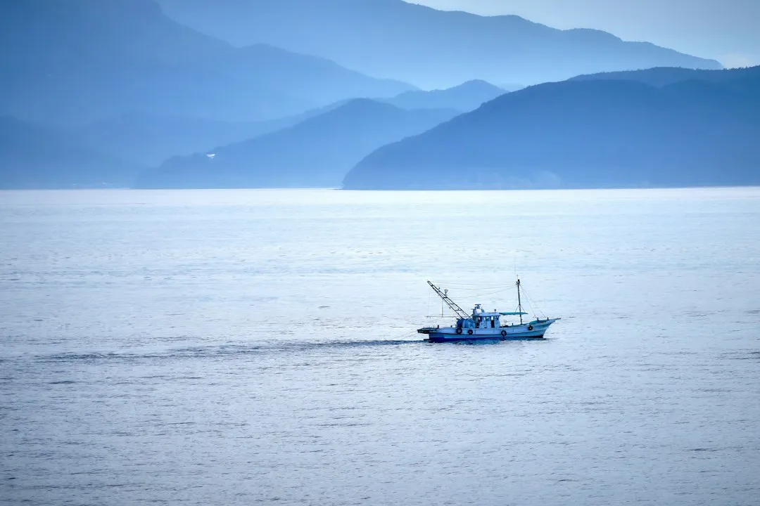 海南企业APP开发如何选择靠谱的软件定制公司——东方双新文科技实战解析
